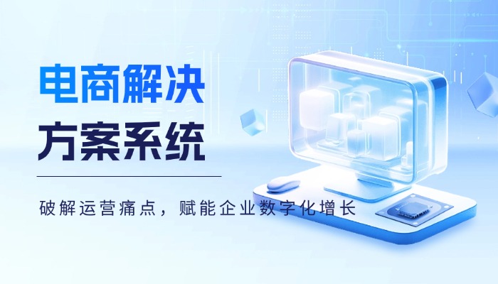 电商解决方案系统:破解运营痛点,赋能企业数字化增长