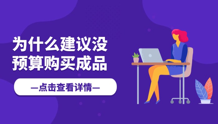 为什么建议没预算的情况下购买电商成品系统先运营