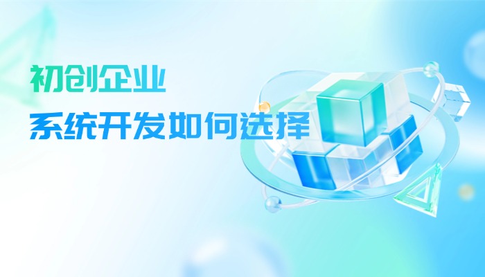 初创企业选择自己研发系统好还是找外包公司好