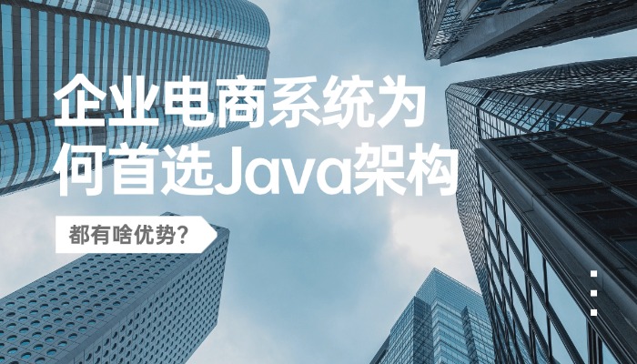 深圳Java商城开发有什么优势？企业电商系统为何首选Java架构